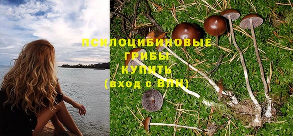 СК Нефтегорск