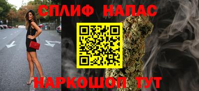 хмурый Кингисепп